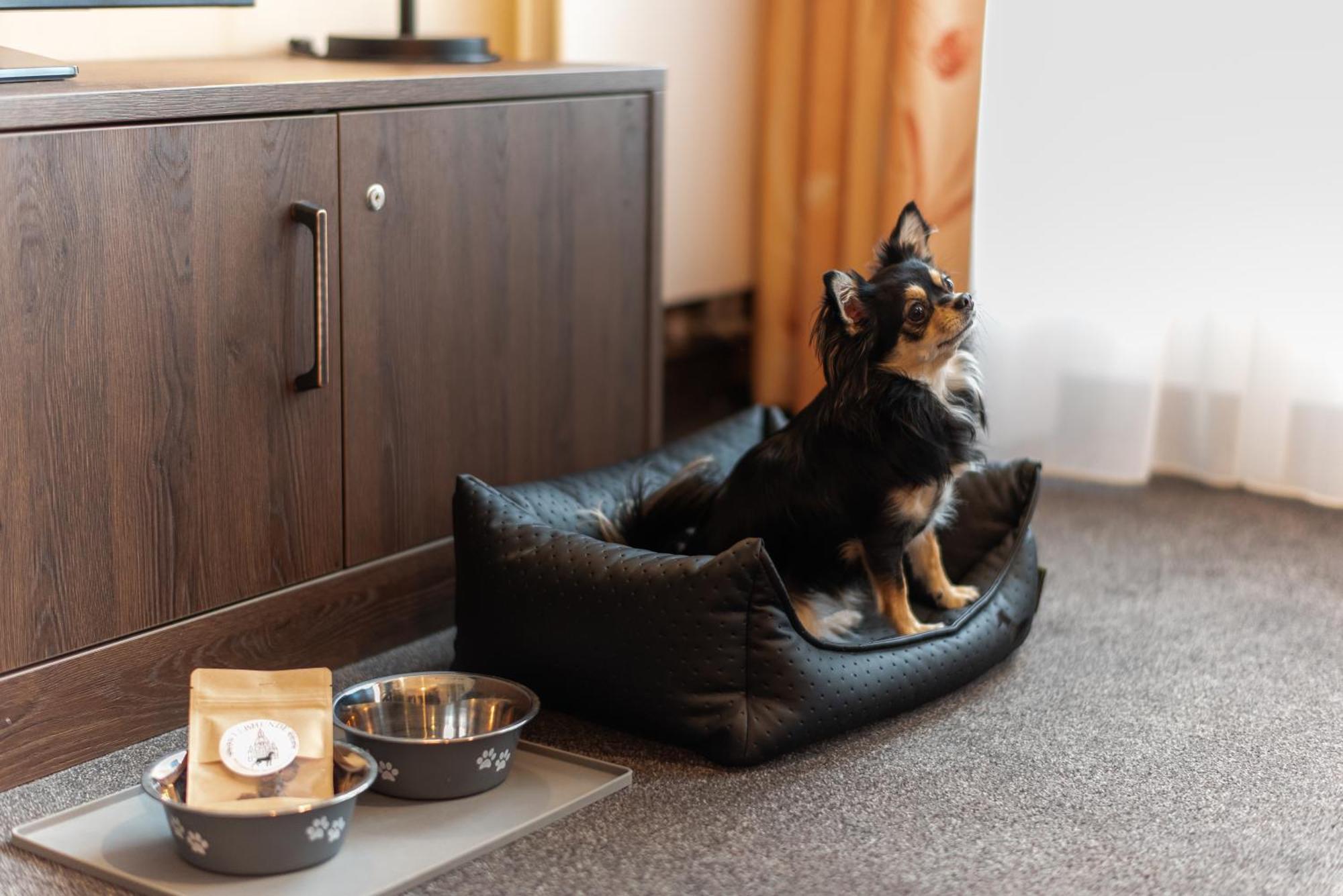 Familienapartment Am Neumarkt L *